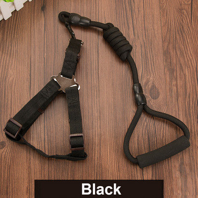 Ανθεκτικό λουρί σκύλου 11 Χρώμα Νάιλον Βασικά Λουριά Μεσαίου μεγάλου κολάρου για σκύλους Μολύβδινο σχοινί για Labrador Rottweiler