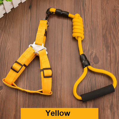 Ανθεκτικό λουρί σκύλου 11 Χρώμα Νάιλον Βασικά Λουριά Μεσαίου μεγάλου κολάρου για σκύλους Μολύβδινο σχοινί για Labrador Rottweiler