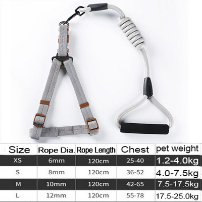 Ανθεκτικό λουρί σκύλου 11 Χρώμα Νάιλον Βασικά Λουριά Μεσαίου μεγάλου κολάρου για σκύλους Μολύβδινο σχοινί για Labrador Rottweiler