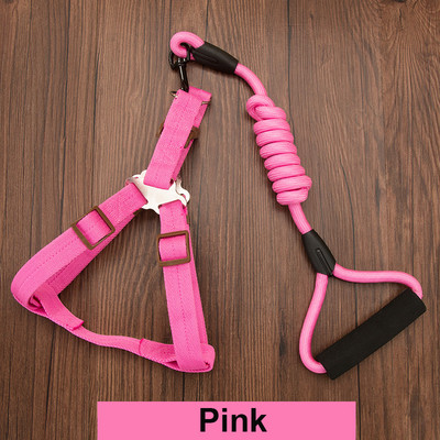 Ανθεκτικό λουρί σκύλου 11 Χρώμα Νάιλον Βασικά Λουριά Μεσαίου μεγάλου κολάρου για σκύλους Μολύβδινο σχοινί για Labrador Rottweiler