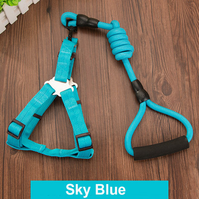 Ανθεκτικό λουρί σκύλου 11 Χρώμα Νάιλον Βασικά Λουριά Μεσαίου μεγάλου κολάρου για σκύλους Μολύβδινο σχοινί για Labrador Rottweiler