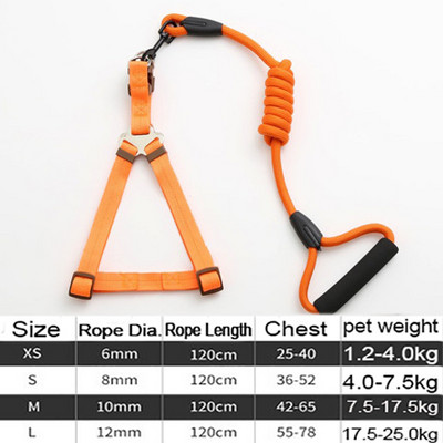 Ανθεκτικό λουρί σκύλου 11 Χρώμα Νάιλον Βασικά Λουριά Μεσαίου μεγάλου κολάρου για σκύλους Μολύβδινο σχοινί για Labrador Rottweiler