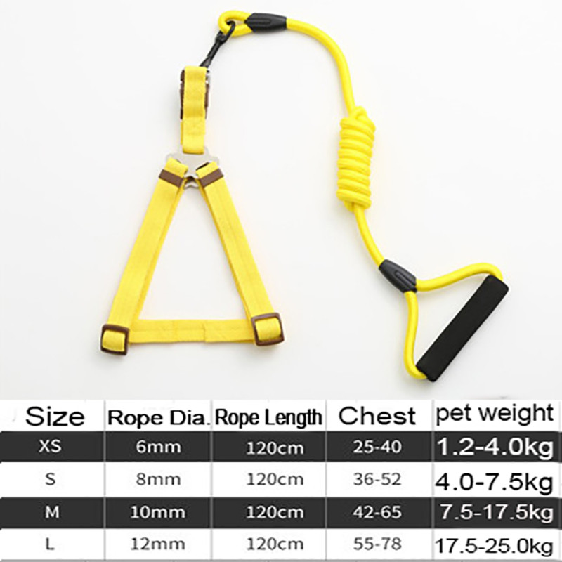 Ανθεκτικό λουρί σκύλου 11 Χρώμα Νάιλον Βασικά Λουριά Μεσαίου μεγάλου κολάρου για σκύλους Μολύβδινο σχοινί για Labrador Rottweiler