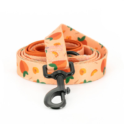 Collarlogo Guler ajustabil pentru câine de companie, durabil, moale, drăguț, creativ, design piersic, lesă, ham din neopren, dozator de pungi