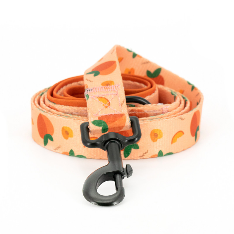 Collarlogo Guler ajustabil pentru câine de companie, durabil, moale, drăguț, creativ, design piersic, lesă, ham din neopren, dozator de pungi