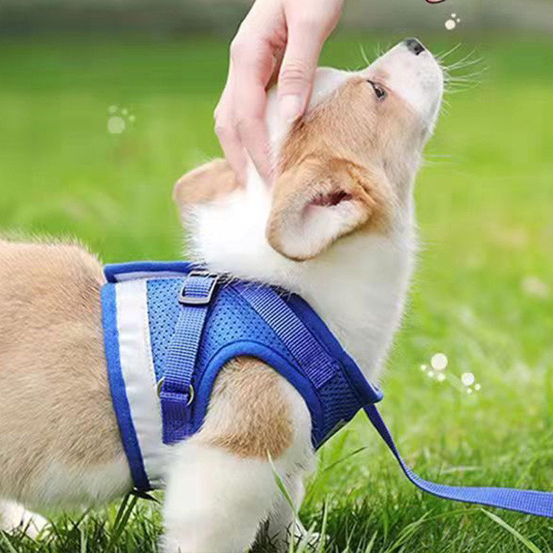 Ανακλαστικό γιλέκο λουριών για σκύλους Αναπνέον λουρί και σετ λουριών Ρυθμιζόμενο λουρί για γάτα Μικρόσωμο λουρί στήθους χωρίς τράβηγμα Τσιουάουα