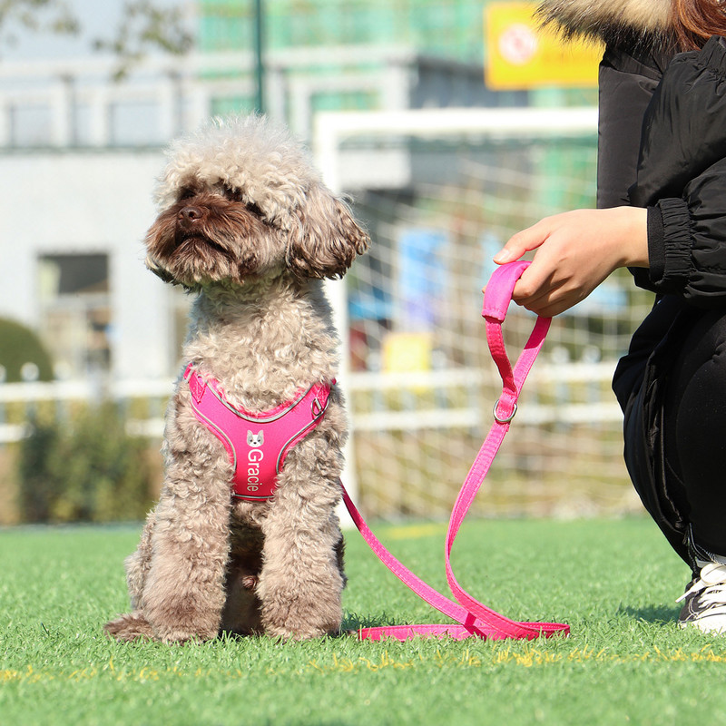 Set personalizat de lesă pentru ham pentru câini, reflectorizant, fără tragere, ham pentru vestă moale, nume personalizat de identificare pentru câini mici, mijlocii mari, Pitbull