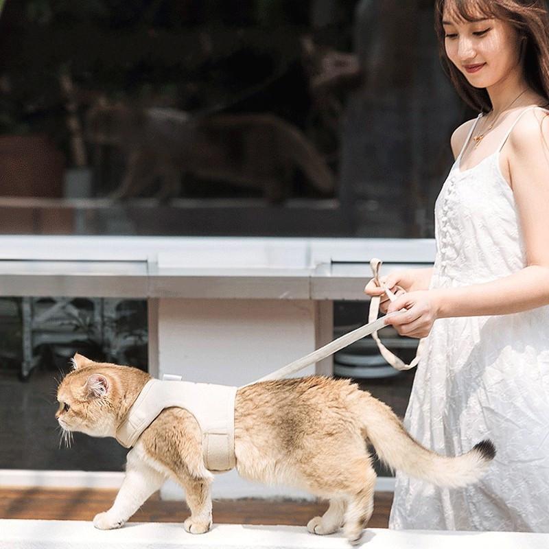 Σετ λουριών και λουριών από βαμβακερό καμβά Ρούχα σκυλιών για μικρά σκυλιά Chihuahua Bichon Harnesses