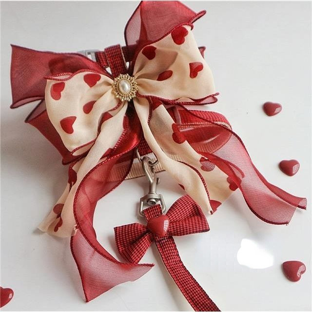 Ins New Love lemmiklooma jalutusrihma komplekt Armas suur vibu kassi köis Väike koerakoer Universaalne koerarakmed ja jalutusrihma komplekt Koerariided Fototarvikud