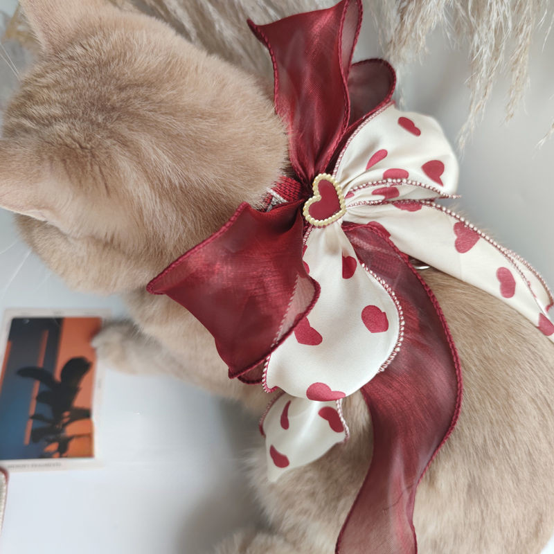 Ins New Love lemmiklooma jalutusrihma komplekt Armas suur vibu kassi köis Väike koerakoer Universaalne koerarakmed ja jalutusrihma komplekt Koerariided Fototarvikud