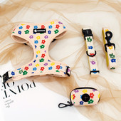 Collarlogo reguleeritav lemmikloomade koera kaelarihm, vastupidav pehme armas loovvärviline lillekujundus jalutusrihm Neopreenist rakmed kakakoti jaotur