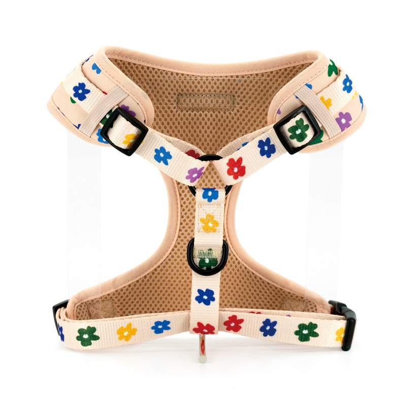 Collarlogo reguleeritav lemmikloomade koera kaelarihm, vastupidav pehme armas loovvärviline lillekujundus jalutusrihm Neopreenist rakmed kakakoti jaotur