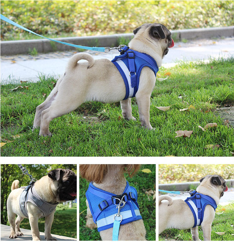 Set de ham și lesă pentru câini de talie mică, plasă respirabilă, pentru cațeluș, pisică, vestă, guler pentru chihuahua, pug, buldog, pisică, Arnes Perro 25