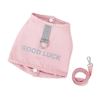 Kutsikarakmete riidevest väikestele keskmistele koertele kassirakmete jalutusrihma komplekt lemmikloomade T-särk Yorkie chihuahua jalutamiskoerte tarvikud