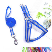 Σετ λουριών και λουριών για σκύλους κατοικίδιων ζώων Αξεσουάρ για υπαίθριο περπάτημα κουταβιού Ρυθμιζόμενο αντανακλαστικό νάιλον λουρί για μικρούς μεσαίους σκύλους