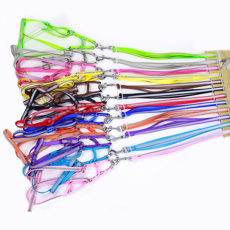 Σετ λουριών και λουριών για σκύλους κατοικίδιων ζώων Αξεσουάρ για υπαίθριο περπάτημα κουταβιού Ρυθμιζόμενο αντανακλαστικό νάιλον λουρί για μικρούς μεσαίους σκύλους