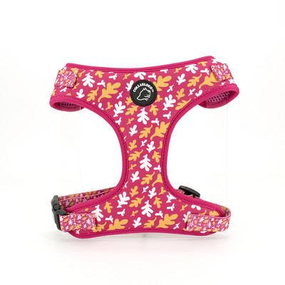 Ρυθμιζόμενο κολάρο για σκύλους κατοικίδιων ζώων Ανθεκτικό μαλακό, χαριτωμένο δημιουργικό λουρί με πεσμένα φύλλα, λουρί από νεοπρένιο με διανομέα τσάντα κακών