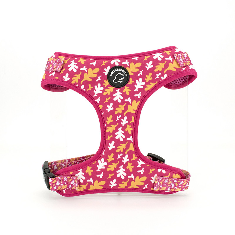 Ρυθμιζόμενο κολάρο για σκύλους κατοικίδιων ζώων Ανθεκτικό μαλακό, χαριτωμένο δημιουργικό λουρί με πεσμένα φύλλα, λουρί από νεοπρένιο με διανομέα τσάντα κακών