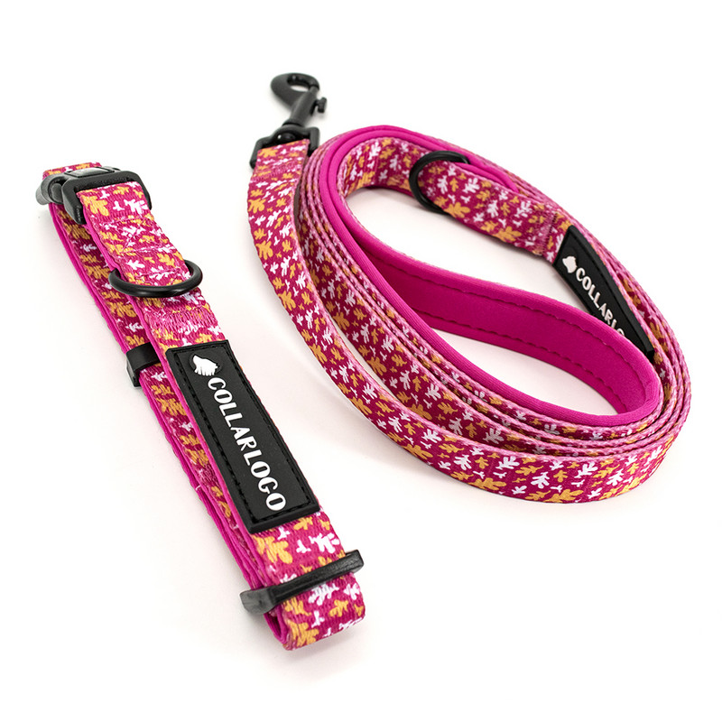 Ρυθμιζόμενο κολάρο για σκύλους κατοικίδιων ζώων Ανθεκτικό μαλακό, χαριτωμένο δημιουργικό λουρί με πεσμένα φύλλα, λουρί από νεοπρένιο με διανομέα τσάντα κακών