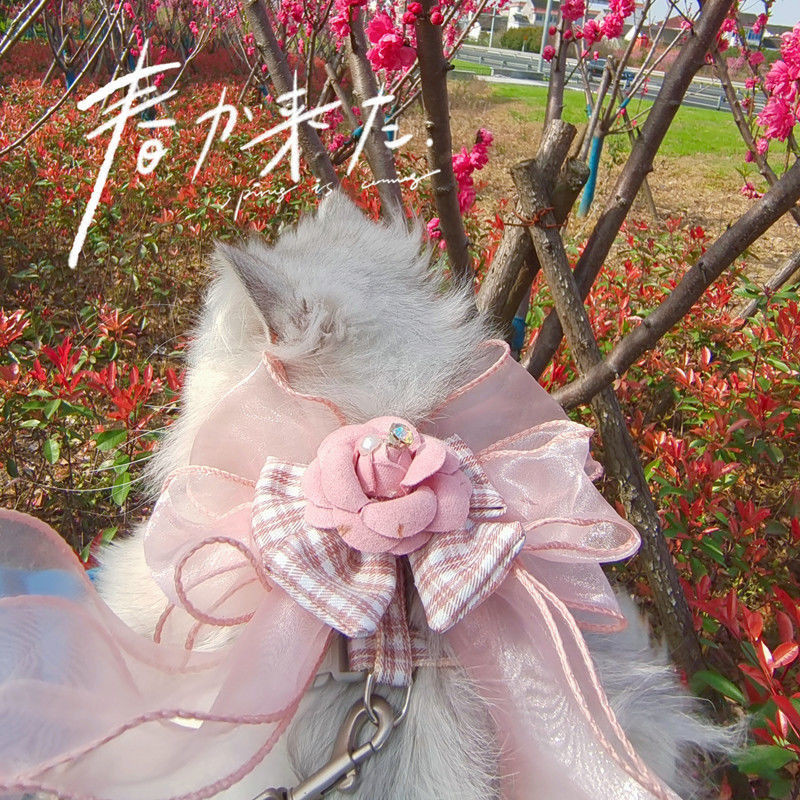 Ins New Pet Dog Traction κοστούμι Λουλούδια Φιόγκος Στήθος Πλάτη Σχοινί έλξης Γάτα Σχοινί Μόδα Πολυτελή Προηγμένα Λουλούδια Ρούχα Σκύλος Περπάτημα