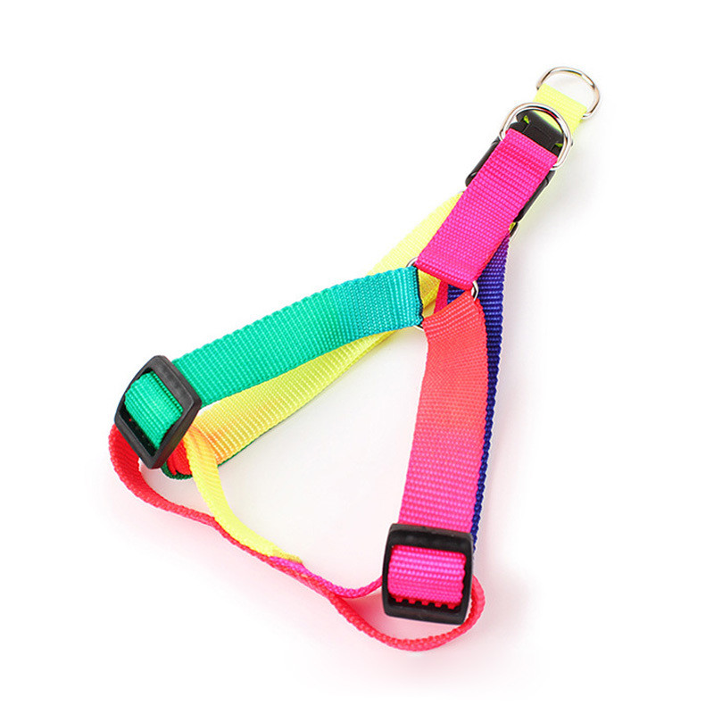 Λουρί λουριών λουριών σκύλου 3 μεγεθών Rainbow Λουρί σκύλου Σχοινί Τσιουάουα/Teddy/Pitbull Λουρί για κατοικίδια για σκύλους/γάτες