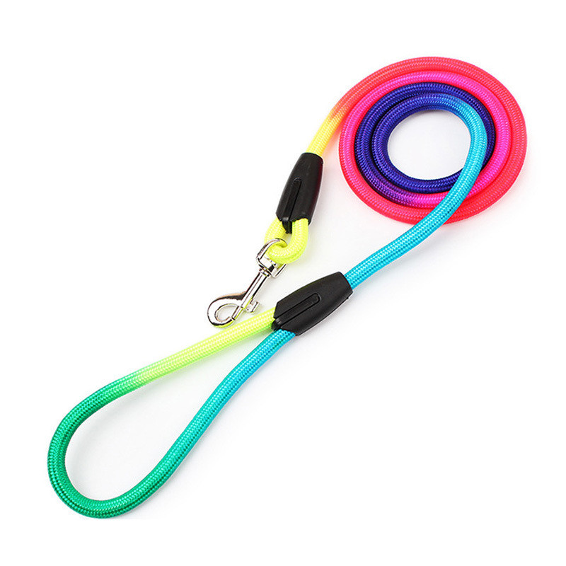 Λουρί λουριών λουριών σκύλου 3 μεγεθών Rainbow Λουρί σκύλου Σχοινί Τσιουάουα/Teddy/Pitbull Λουρί για κατοικίδια για σκύλους/γάτες