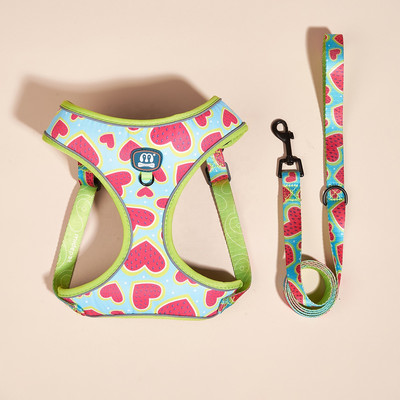 Prindi Hingavad koerarakmed jalutusrihma komplekt Roosa pehme lemmiklooma rinnarihm Väikesed keskmised suured koerad helkur välisreisi lemmikloomatarbed