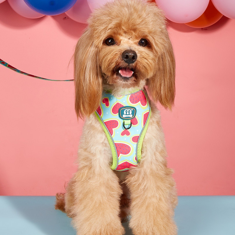 Prindi Hingavad koerarakmed jalutusrihma komplekt Roosa pehme lemmiklooma rinnarihm Väikesed keskmised suured koerad helkur välisreisi lemmikloomatarbed