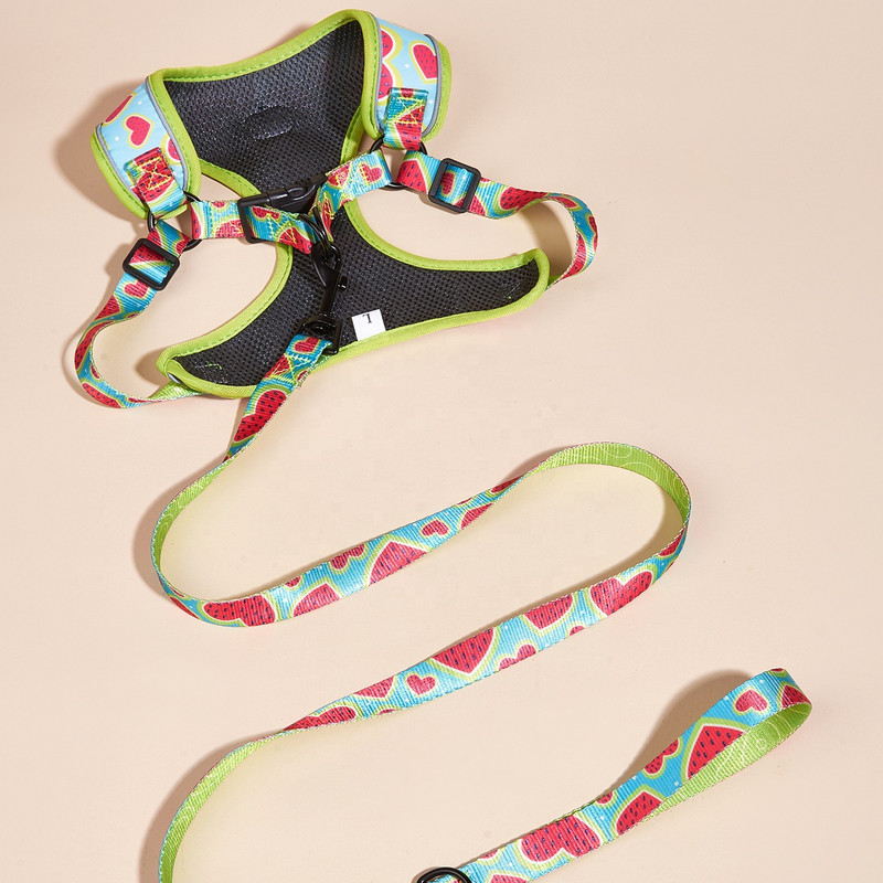 Prindi Hingavad koerarakmed jalutusrihma komplekt Roosa pehme lemmiklooma rinnarihm Väikesed keskmised suured koerad helkur välisreisi lemmikloomatarbed