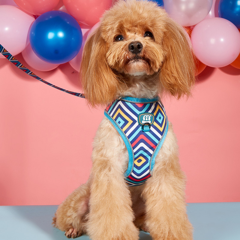 Prindi Hingavad koerarakmed jalutusrihma komplekt Roosa pehme lemmiklooma rinnarihm Väikesed keskmised suured koerad helkur välisreisi lemmikloomatarbed