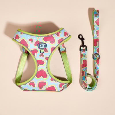 Εκτύπωση Σετ λουριών με λουρί με λουρί για σκύλους που αναπνέει Ροζ μαλακό λουρί στήθους για κατοικίδια Μικρά μεσαία μεγάλα σκυλιά αντανακλαστικά υπαίθρια είδη ταξιδιού για κατοικίδια