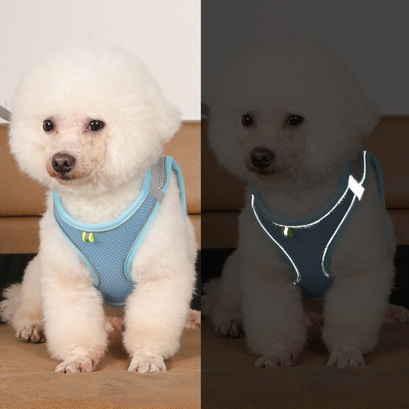 Σετ λουριών με λουρί σκύλου για μικρά σκυλιά Ρυθμιζόμενο γιλέκο με λουρί για κουτάβι για γάτα γαλλικό μπουλντόγκ Chihuahua Pug Λουρί για περπάτημα εξωτερικού χώρου