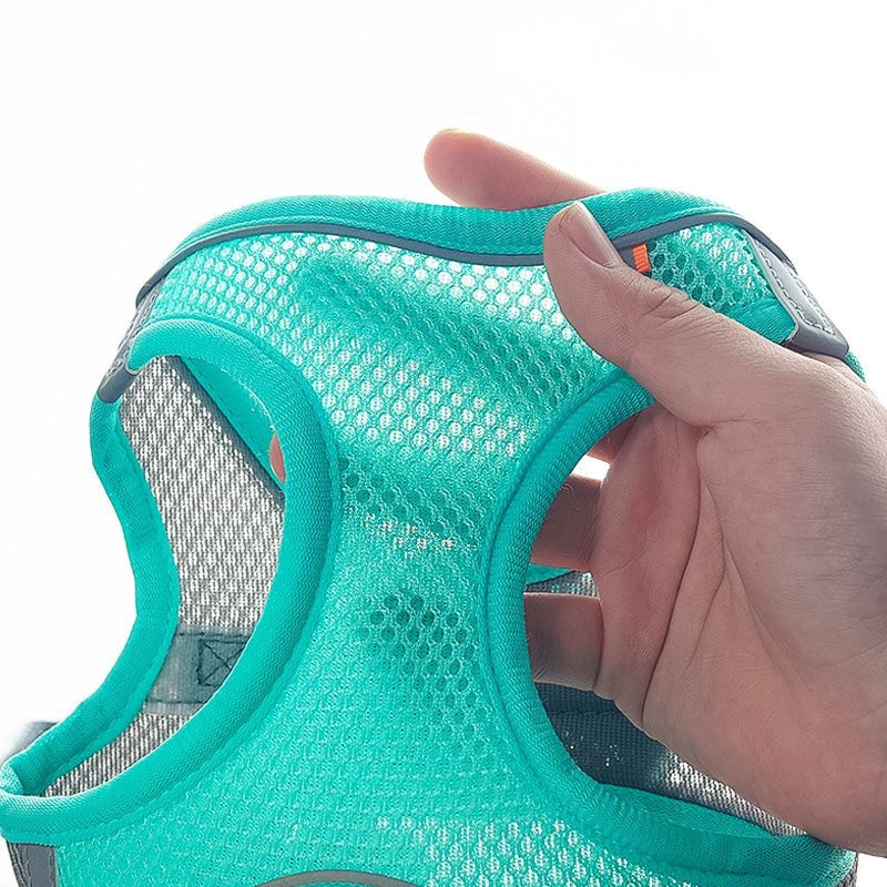 Koerarakmete jalutusrihma komplekt väikestele koertele Reguleeritav kutsika kassi rakmete vest Prantsuse buldogi chihuahua mopsi õues käimise rihm