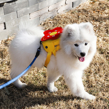 Разходка за домашни любимци с чанта за малки и средни кучета Модна раница за кученце самое мопс mascotas Carrier Accessories