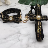 Ρυθμιζόμενο λουρί με λουρί για σκύλους κατοικίδιων ζώων Κλασικού στυλ Κλασικό κολάρο σκυλιών για περπάτημα με σχοινί για μικρό μεσαίο λουρί κοστουμιού με λουρί για λουρί