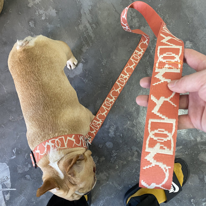 Κολάρο εκπαίδευσης σκύλων Ρυθμιζόμενο κολάρο τακτικής σκύλου και σετ λουριών Χειρολαβή χειριστηρίου Μολύβδινο κολάρο για μικρούς μεσαίους μεγάλους σκύλους