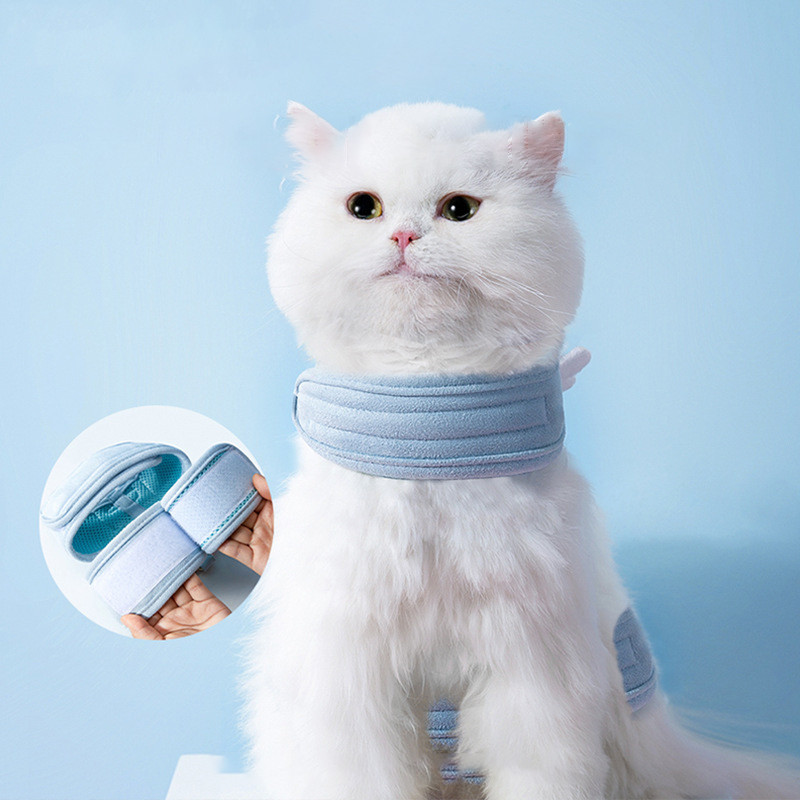 Σετ λουριών και λουριών γάτας-Αξιολάτρευτα λουριά και λουριά για σκύλους κατοικίδιων ζώων με αξεσουάρ σκύλου για σκύλους για κουτάβι φτερό αγγέλου