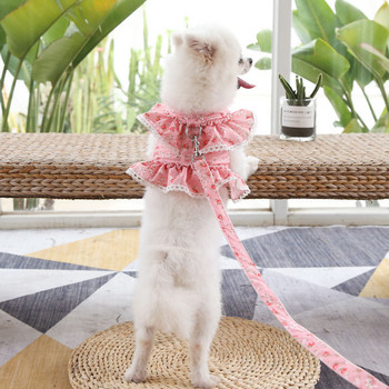 Καλοκαιρινό γιλέκο σκύλου αναπνεύσιμο διχτυωτό σετ λουριών για κατοικίδια Ρούχα Κοντές φούστες φόρεμα με λουρί σκύλου Πριγκίπισσα για προμήθειες για σκύλους Τσιουάουα