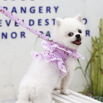 Καλοκαιρινό γιλέκο σκύλου αναπνεύσιμο διχτυωτό σετ λουριών για κατοικίδια Ρούχα Κοντές φούστες φόρεμα με λουρί σκύλου Πριγκίπισσα για προμήθειες για σκύλους Τσιουάουα