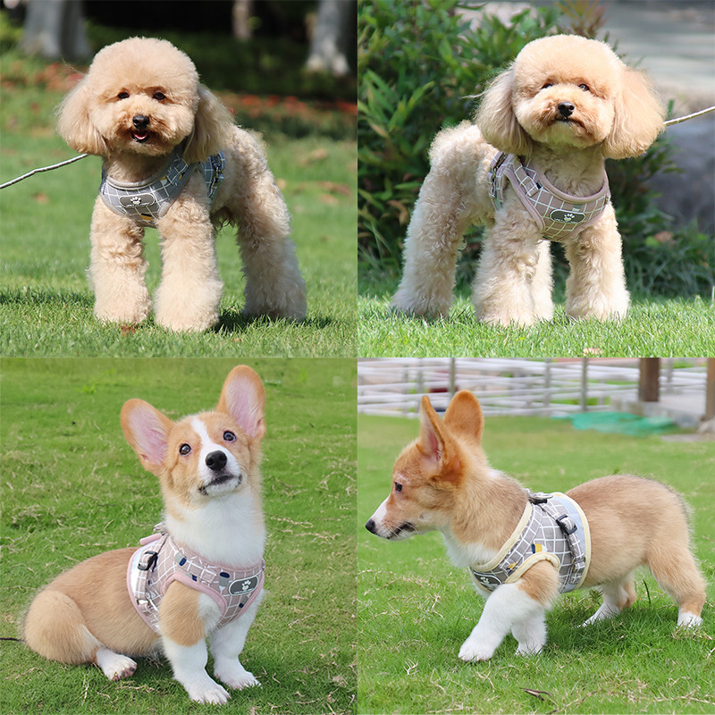Harnaș și lesă cu vestă pentru câini în carouri și lesă, curele pentru piept pentru animale de companie, pentru câini de talie mică și mijlocie, ham pentru pisici, buldog francez, guler York