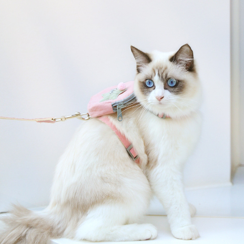 CAWAYI KENNEL Ζωγραφιά κατοικίδιων ζώων + σετ λουριών Εκπαίδευση Οδηγοί βάδισης για μικρές γάτες Σκύλους Ρυθμιζόμενο λουρί γιακά λουριών σετ με τσάντα