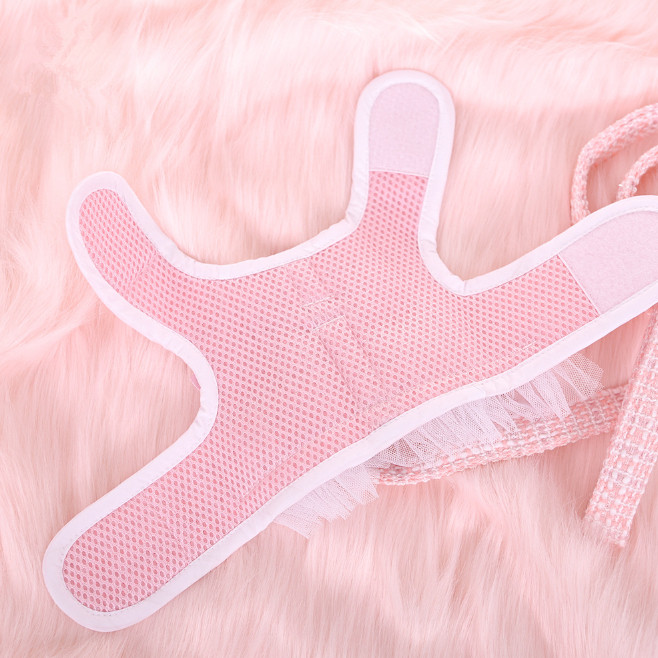 Σετ λουριών και λουριών λουριών πριγκίπισσας για μικρό σκύλο Φθινόπωρο/Χειμώνα Τσιουάουα χαριτωμένο γιλέκο σκύλου για περπάτημα