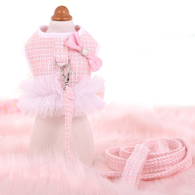 Σετ λουριών και λουριών λουριών πριγκίπισσας για μικρό σκύλο Φθινόπωρο/Χειμώνα Τσιουάουα χαριτωμένο γιλέκο σκύλου για περπάτημα