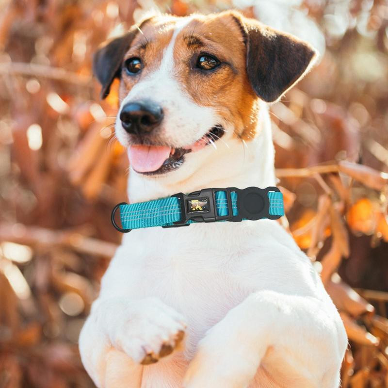 Kačių fotoaparato antkaklis, atspindintis GPS kačių antkaklis šuniui augintinio apykaklė Reguliuojamas kačiuko antkaklis Lengvas naminių gyvūnėlių antkaklis Kačių stebėjimas