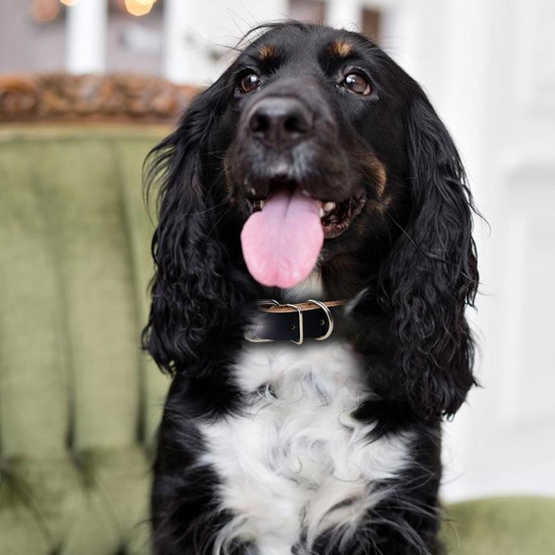 Δερμάτινο κολάρο σκύλου Ρολά Ρυθμιζόμενο μεταλλικό κολάρο με πόρπη για σκύλους Χειροποίητα κολάρα σκυλιών για μικρούς μεσαίους και μεγάλους σκύλους