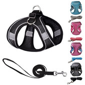 Väikese koera kutsikarakmete komplekt Nailonvõrgust kassirakmed ja jalutusrihmaga reguleeritav lemmikloomarakmete vest väikestele koertele Arnes Perro Grande