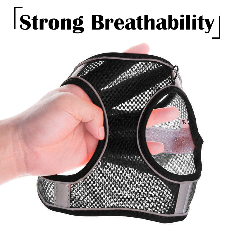 Väikese koera kutsikarakmete komplekt Nailonvõrgust kassirakmed ja jalutusrihmaga reguleeritav lemmikloomarakmete vest väikestele koertele Arnes Perro Grande