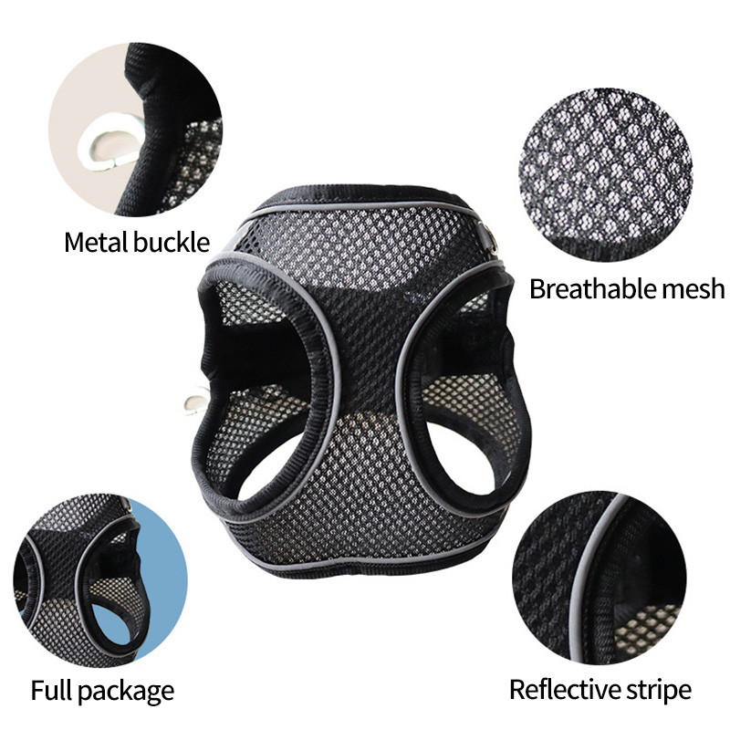 Väikese koera kutsikarakmete komplekt Nailonvõrgust kassirakmed ja jalutusrihmaga reguleeritav lemmikloomarakmete vest väikestele koertele Arnes Perro Grande