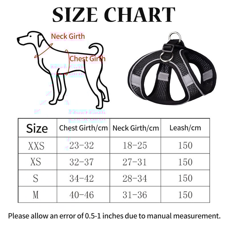 Väikese koera kutsikarakmete komplekt Nailonvõrgust kassirakmed ja jalutusrihmaga reguleeritav lemmikloomarakmete vest väikestele koertele Arnes Perro Grande
