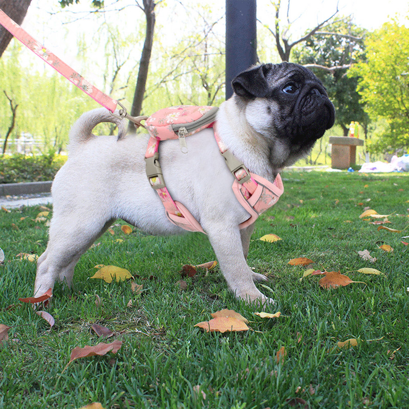 Λουρί για σκύλο για κουτάβι με λουρί Νάιλον για σκύλους Εξάρτημα γιλέκου γάτας Όμορφη στάμπα λουλουδιών Τσάντα σνακ για γάτες Μικρά μεσαία σκυλιά